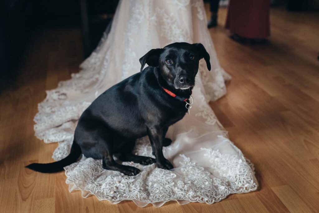Heiraten mit Hund, Hochzeitsfotograf Schloss Hohenkammer