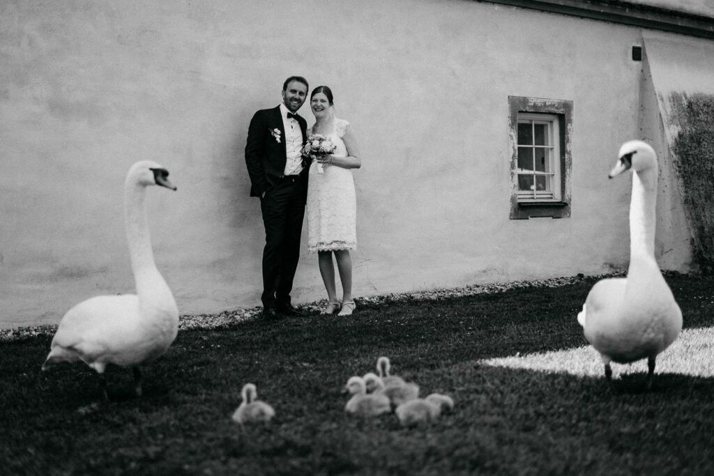 Hochzeitsfoto mit Schwanenfamilie, Hochzeitsfotograf München